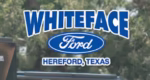 Whiteface Ford