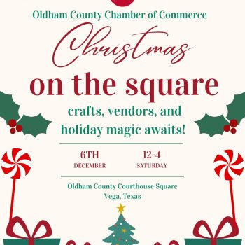 Christmas on the square (4)