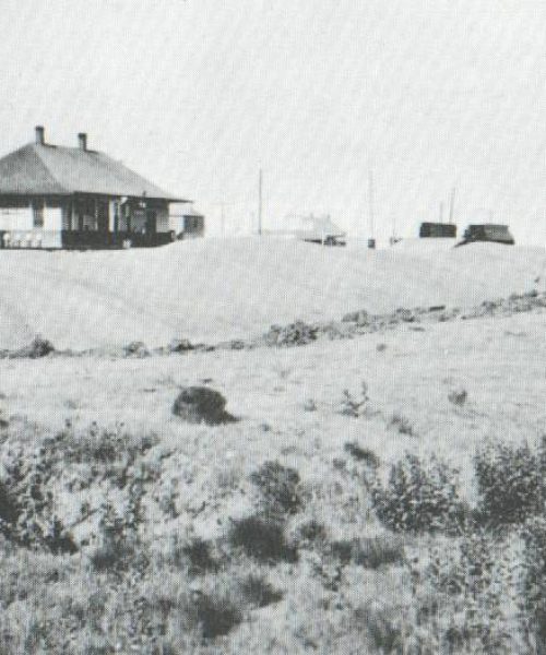 wildorado-texas-WheatHarvest